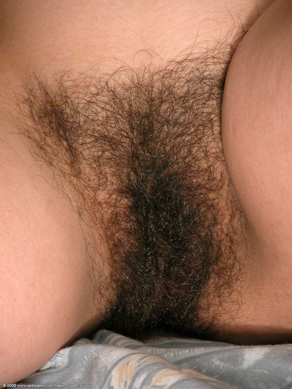 Grey Hairy Pussy Close Up