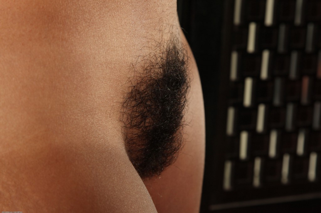 Free hairy celebrity maure pictures - Hairy - XXX videos