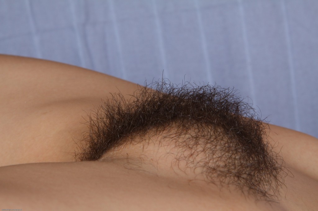 Showing Images For Hairy Triangle Teen Xxx