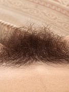 french hairy, hairy pussy beauties