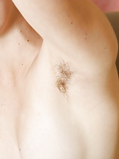 Joe Crazy Hairy Ants